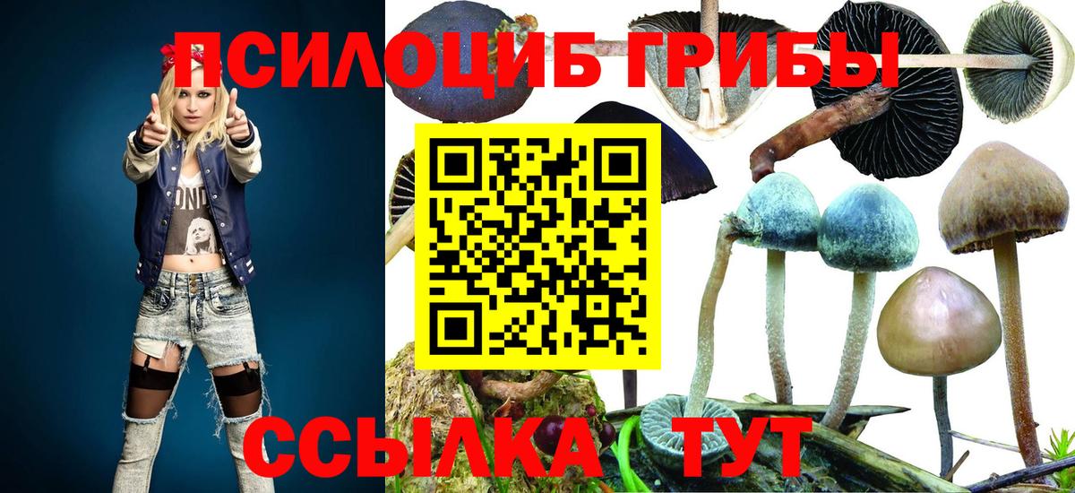 Галлюциногенные грибы GOLDEN TEACHER Тамбов