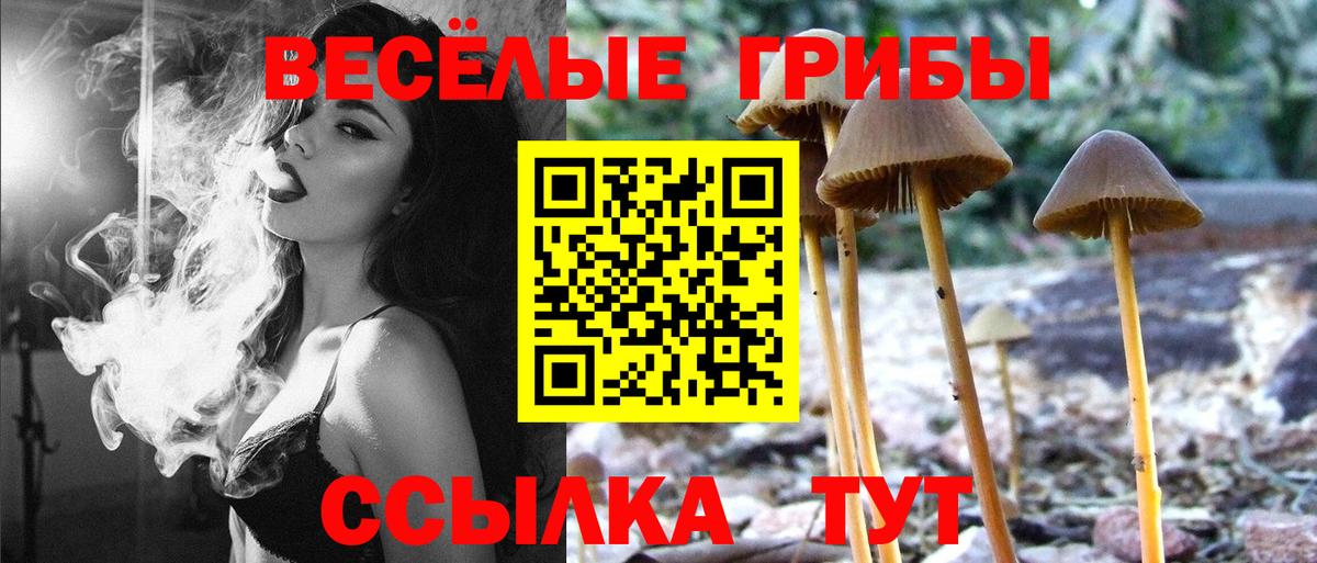 Псилоцибиновые грибы Psilocybine cubensis  Вход с VPN  дарнет шоп  Тамбов  Галлюциногенные грибы Cubensis 